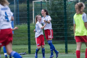 Bild 150 - C-Juniorinnen HSV - Walddoerfer : Ergebnis: 9:1
